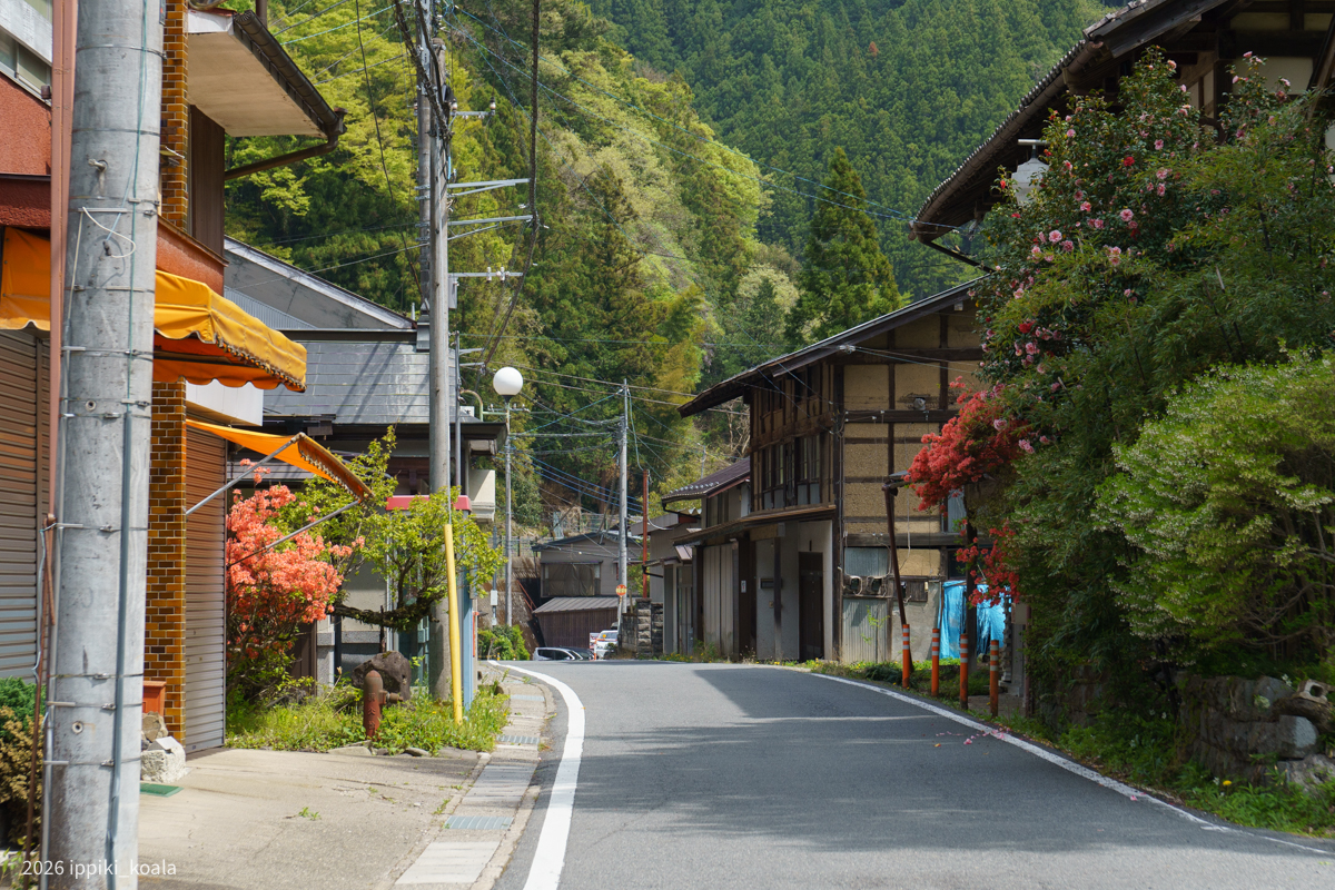 何回も振り返ってしまった