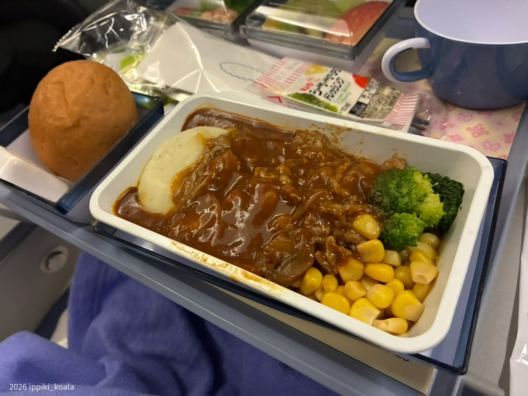 初機内食